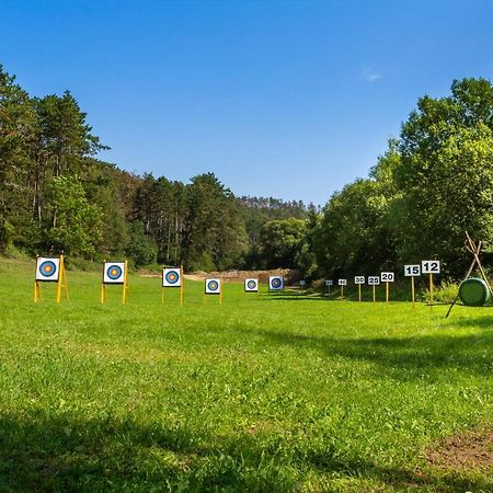 Penzion Litohlavy 17 - Na Samote U Lesa Králŭv Dvŭr エクステリア 写真
