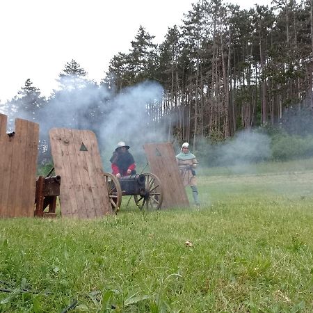 Penzion Litohlavy 17 - Na Samote U Lesa Králŭv Dvŭr エクステリア 写真