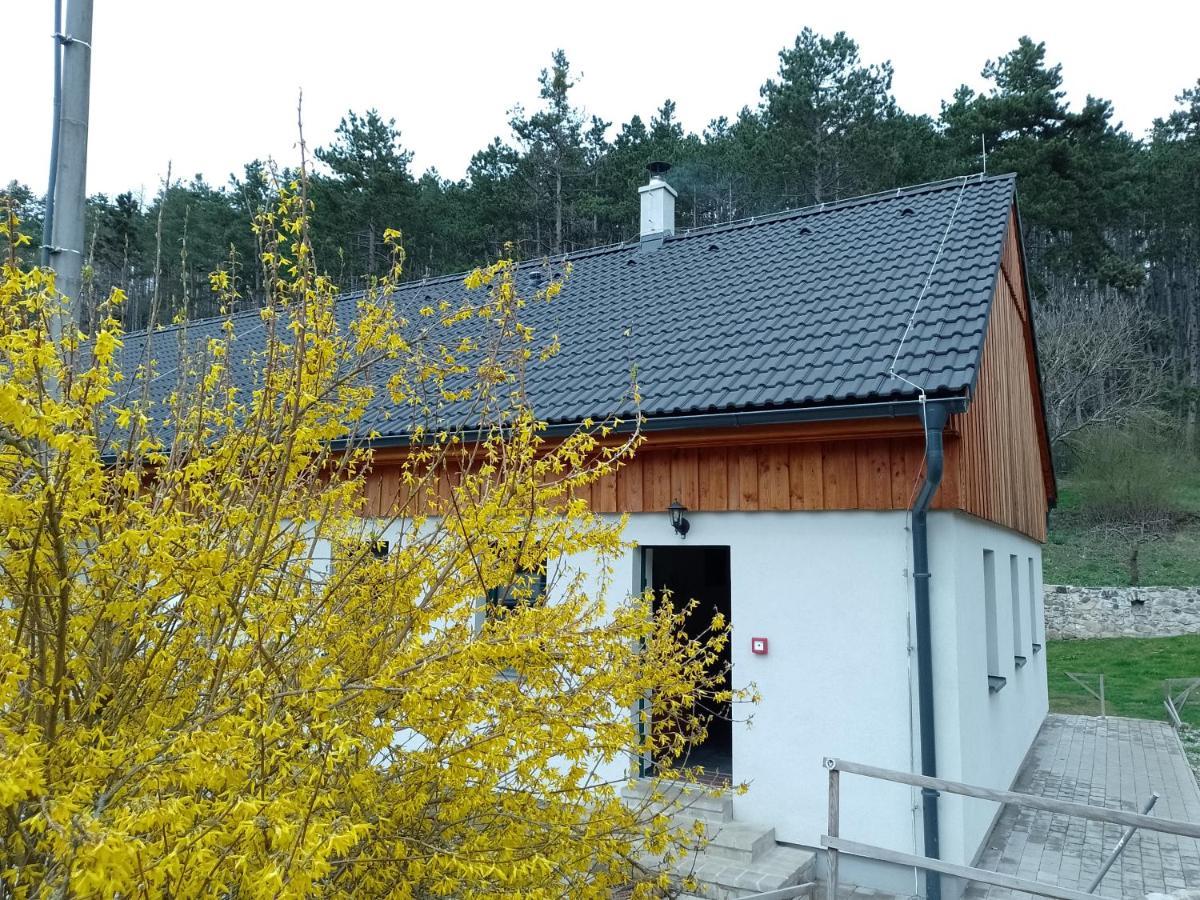 Penzion Litohlavy 17 - Na Samote U Lesa Králŭv Dvŭr エクステリア 写真