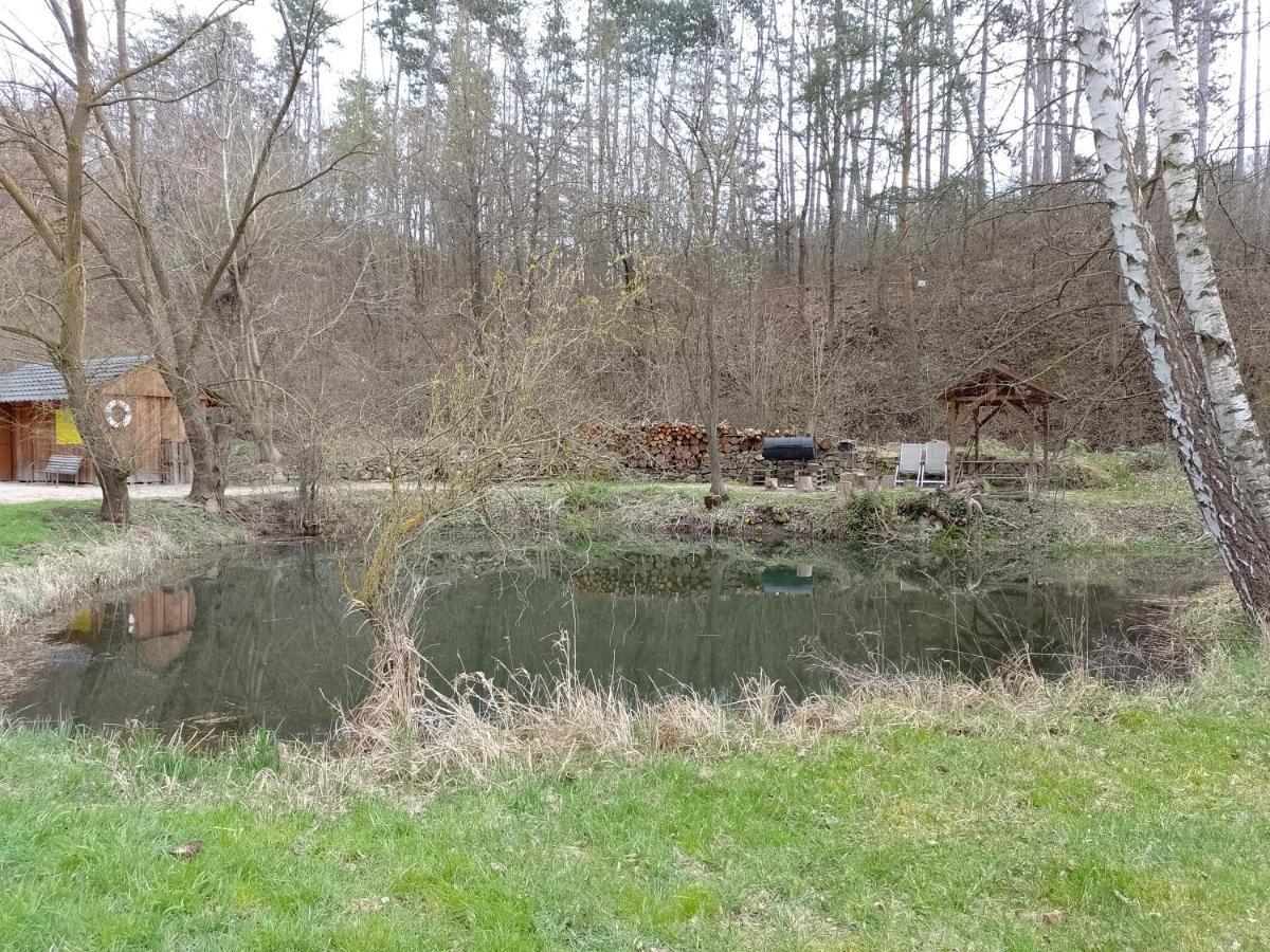 Penzion Litohlavy 17 - Na Samote U Lesa Králŭv Dvŭr エクステリア 写真