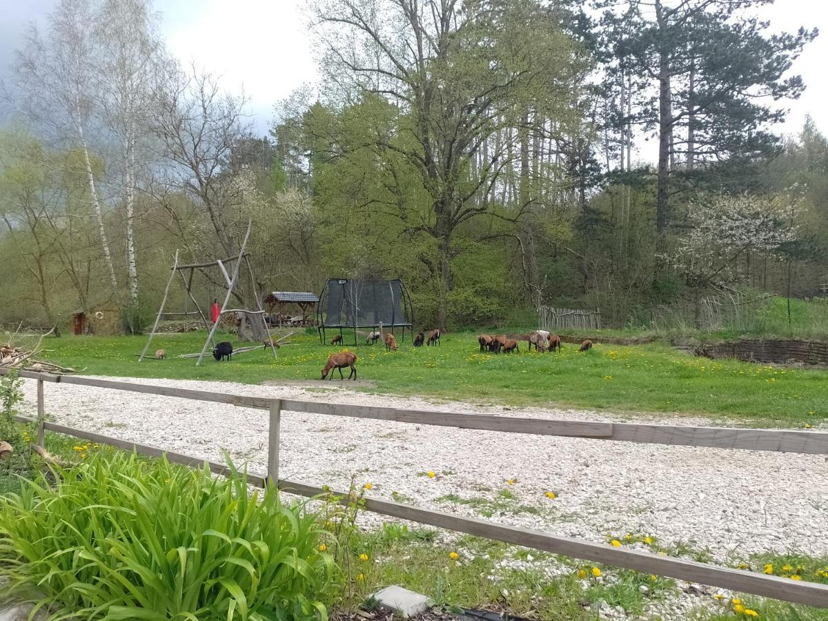 Penzion Litohlavy 17 - Na Samote U Lesa Králŭv Dvŭr エクステリア 写真