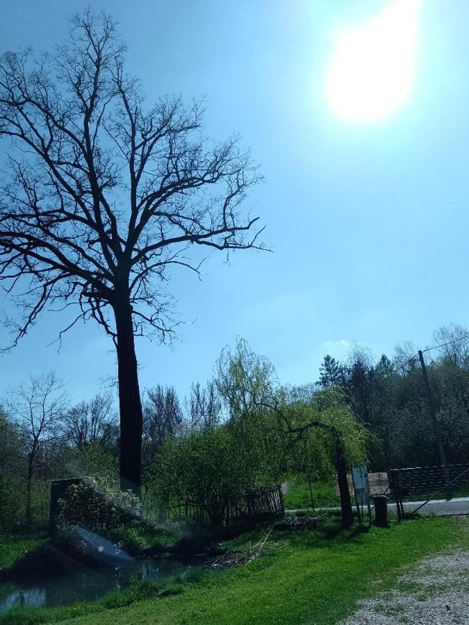 Penzion Litohlavy 17 - Na Samote U Lesa Králŭv Dvŭr エクステリア 写真