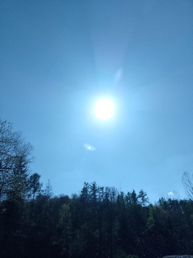 Penzion Litohlavy 17 - Na Samote U Lesa Králŭv Dvŭr エクステリア 写真