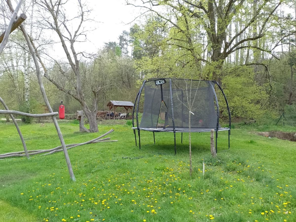 Penzion Litohlavy 17 - Na Samote U Lesa Králŭv Dvŭr エクステリア 写真