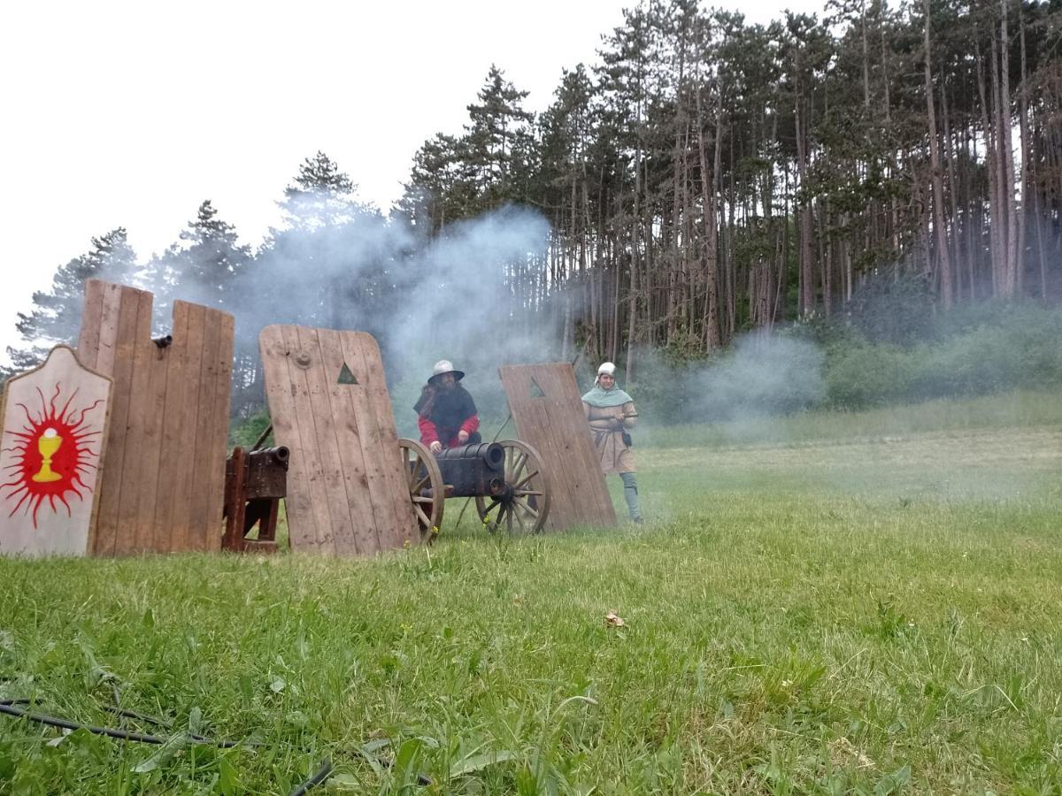 Penzion Litohlavy 17 - Na Samote U Lesa Králŭv Dvŭr エクステリア 写真